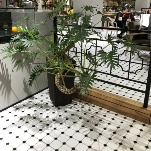 EURO HERITAGE 亮｜29.5x29