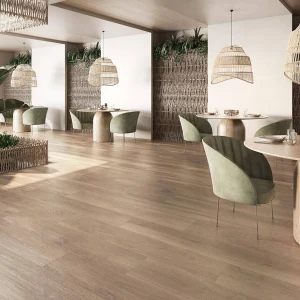 ZABA霧面｜SH0AE01｜實景圖23x120cm ｜西班牙6