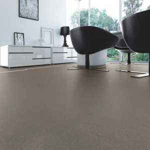 earth_amb_grigio4+1 dett