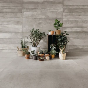 實景 奧古斯特 (12) 大